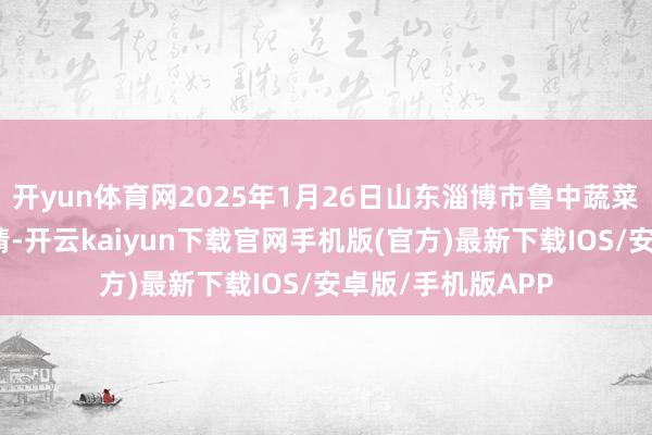 开yun体育网2025年1月26日山东淄博市鲁中蔬菜批发市集价钱行情-开云kaiyun下载官网手机版(官方)最新下载IOS/安卓版/手机版APP
