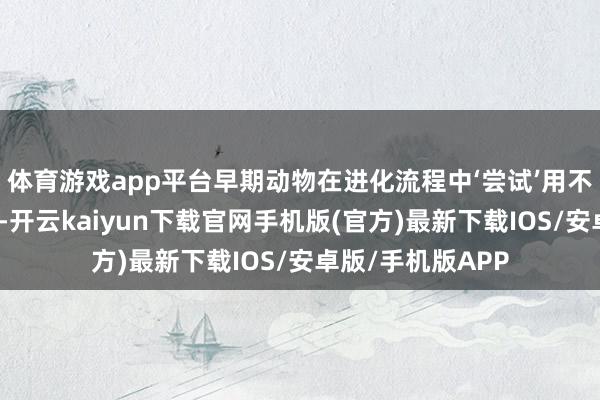 体育游戏app平台早期动物在进化流程中‘尝试’用不同材料构建骨骼-开云kaiyun下载官网手机版(官方)最新下载IOS/安卓版/手机版APP